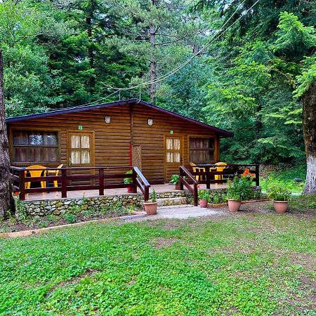 Uji I Panjes Llogara Villa Vlore Luaran gambar